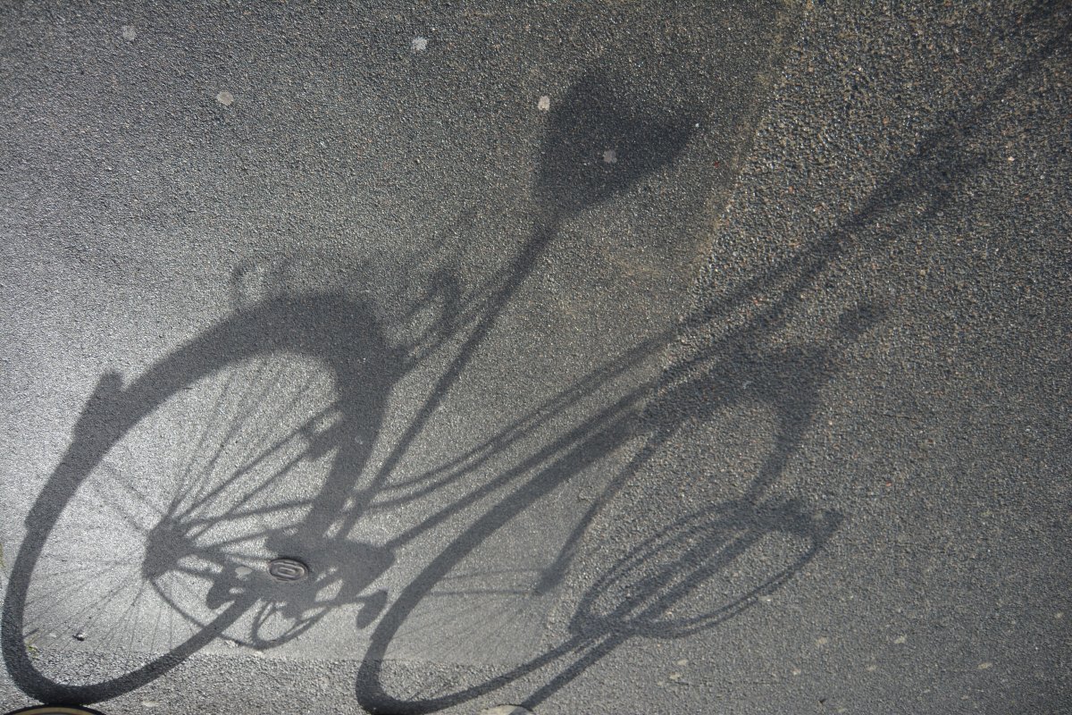 Comme un p'tit vélo : lettre à une mentor